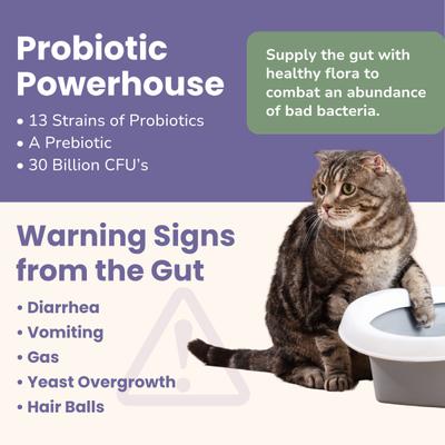 Show full view: Glacier Peak Holistics Pro Bio Complete Digestive Aid for Dogs & Cats, 5-oz slide 4 of 7