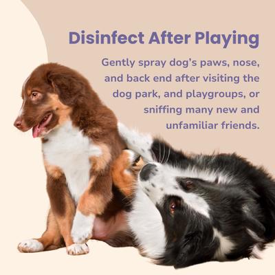 Show full view: Glacier Peak Holistics Colloidal Silver Dental Spray for Dogs & Cats, 2-fl oz slide 6 of 6