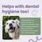 Show in main carousel: Glacier Peak Holistics Colloidal Silver Dental Spray for Dogs & Cats, 2-fl oz slide 4 of 6