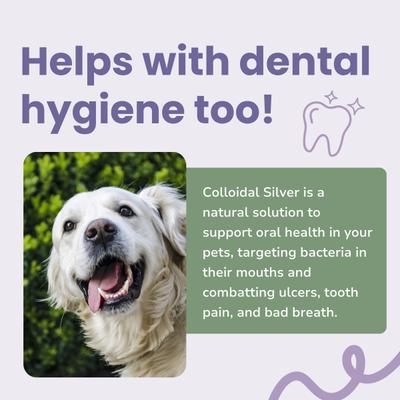 Show full view: Glacier Peak Holistics Colloidal Silver Dental Spray for Dogs & Cats, 2-fl oz slide 4 of 6