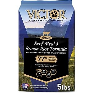 VICTOR Gluten-Free Beef Meal & Brown Rice Dry Dog Food, 5-lb bag