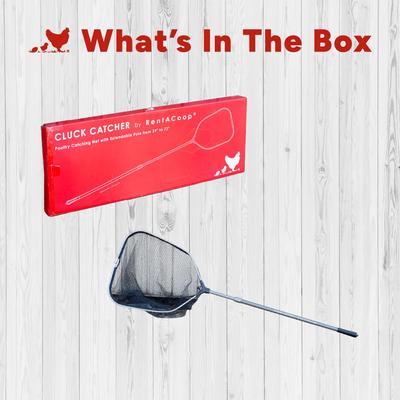 Show full view: RentACoop Folding Chicken & Small Pet Catching Net slide 8 of 9