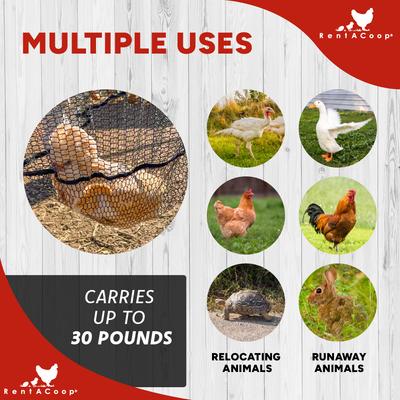 Show full view: RentACoop Folding Chicken & Small Pet Catching Net slide 7 of 9