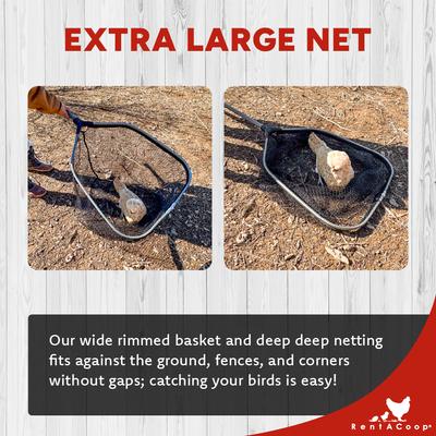 Show full view: RentACoop Folding Chicken & Small Pet Catching Net slide 5 of 9