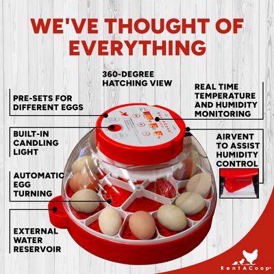 Show full view: RentACoop Smart 16 Egg Incubator with Built-In Candler slide 8 of 9