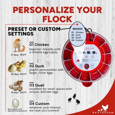 Show full view: RentACoop Smart 16 Egg Incubator with Built-In Candler slide 4 of 9