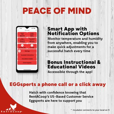 Show full view: RentACoop Smart 16 Egg Incubator with Built-In Candler slide 3 of 9