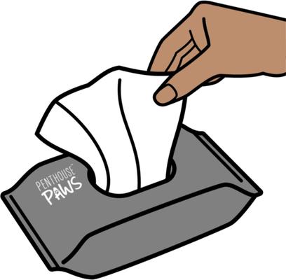 Show full view: Penthouse Paws Hypoallergenic Unscented Dog & Cat Ear Wipes, 80 count slide 3 of 6