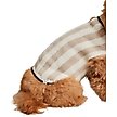 Show in main carousel: Barefoot Dreams CozyChic Cotton Classic Stripe Dog Sweater, Oatmeal/Cream, XX-Large slide 4 of 6