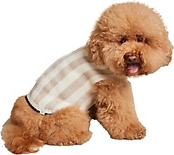 Barefoot Dreams CozyChic Cotton Classic Stripe Dog Sweater, Oatmeal/Cream, XX-Large