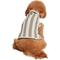 Show in main carousel: Barefoot Dreams CozyChic Cotton Classic Stripe Dog Sweater, Eucalyptus/Cream, X-Small slide 1 of 5