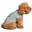 Show in main carousel: Barefoot Dreams CozyChic Snake Dog Sweater, Meadow Green, X-Small slide 5 of 6