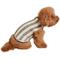 Show in main carousel: Barefoot Dreams CozyChic Cotton Classic Stripe Dog Sweater, Eucalyptus/Cream, X-Small slide 3 of 5