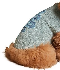 Barefoot Dreams CozyChic Snake Dog Sweater, Meadow Green, Medium slide 2 of 6