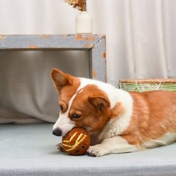 HugSmart Pet Food Party Spaghetti Meatball Dog Toy slide 2 of 8