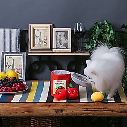 HugSmart Pet Food Party Tomato Can Dog Toy slide 2 of 7