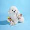 Show in main carousel: HugSmart Pet Beach Daze Seaside Oyster Dog Toy slide 4 of 5