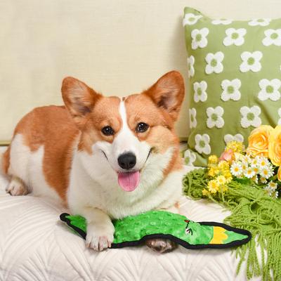 Show full view: HugSmart Pet Squeakin' Vegetables Pickle Dog Toy slide 3 of 7