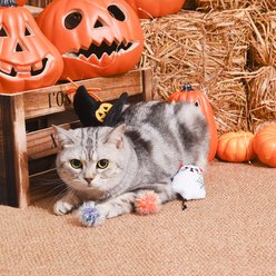 HugSmart Halloween Ghost Kitty Variety Pack Plush Cat Toy with Catnip, 3 count slide 2 of 7