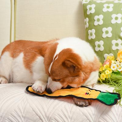 Show full view: HugSmart Pet Squeakin' Vegetables Carrot Dog Toy slide 5 of 6