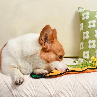 Show full view: HugSmart Pet Squeakin' Vegetables Carrot Dog Toy slide 4 of 6