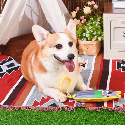 Show full view: HugSmart Pet Raccoon Buddies Raccoon Tugga Dog Toy slide 5 of 6