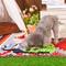 Show in main carousel: HugSmart Pet Raccoon Buddies Raccoon Snuffle Mat Dog Toy slide 4 of 7