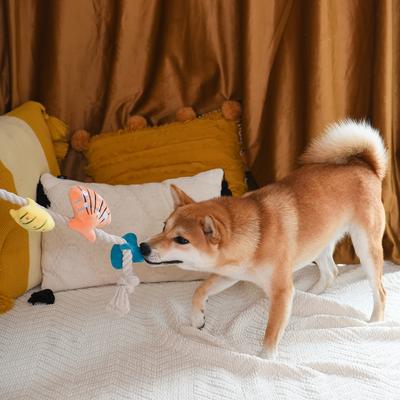 Show full view: HugSmart Pet Pirate Pups Shell Necklace Dog Toy slide 9 of 10