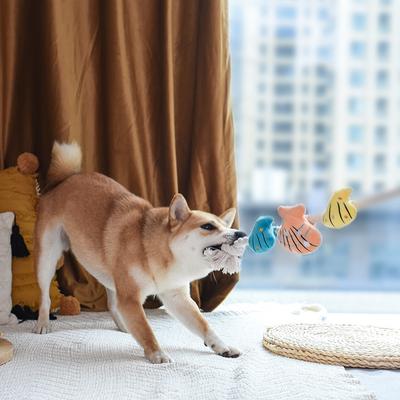 Show full view: HugSmart Pet Pirate Pups Shell Necklace Dog Toy slide 5 of 10