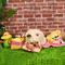 Show in main carousel: HugSmart Pet Picnic Time Picnic Avocado Dog Toy slide 8 of 9