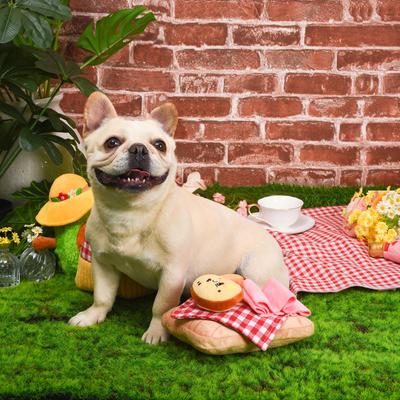 Show full view: HugSmart Pet Picnic Time Picnic Avocado Dog Toy slide 9 of 9