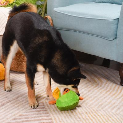 Show full view: HugSmart Pet Picnic Time Picnic Avocado Dog Toy slide 6 of 9