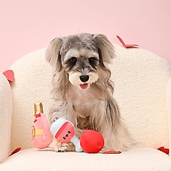 HugSmart Pet Picnic Time Backyard Picnic Dog Toy slide 2 of 7