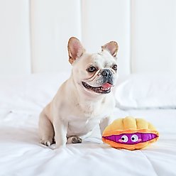 HugSmart Pet Ocean Pals Clam Dog Toy slide 2 of 7