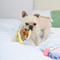 Show in main carousel: HugSmart Pet Melody Bros Penguin Dog Toy slide 5 of 10