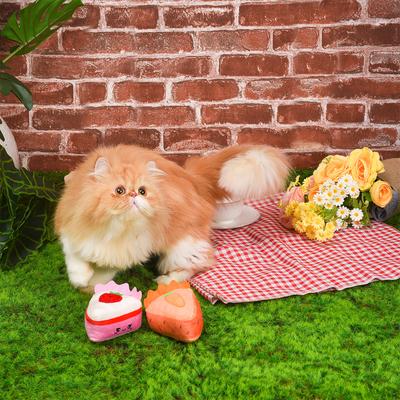 Show full view: HugSmart Pet Kitten Party Carrot Cake Cat Toy slide 7 of 9