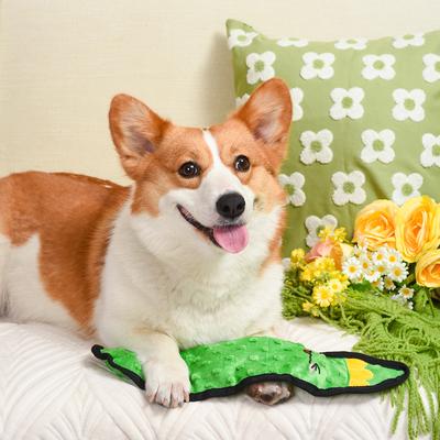 Show full view: HugSmart Pet Squeakin' Vegetables Pickle Dog Toy slide 4 of 7