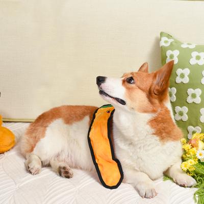 Show full view: HugSmart Pet Squeakin' Vegetables Carrot Dog Toy slide 6 of 6