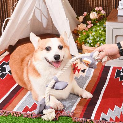 Show full view: HugSmart Pet Raccoon Buddies Raccoon Rope Dog Toy slide 5 of 7