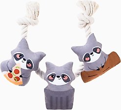 HugSmart Pet Raccoon Buddies Raccoon Rope Dog Toy