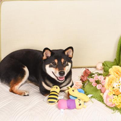 Show full view: HugSmart Pet Puppy Garden Little Insects Dog Toy slide 4 of 4