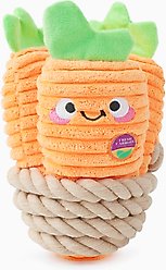 HugSmart Pet Puppy Garden Carrot Bunch Dog Toy