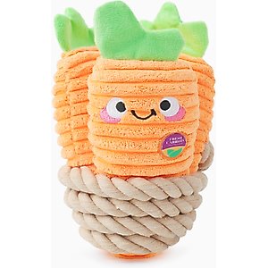 HugSmart Pet Puppy Garden Carrot Bunch Dog Toy