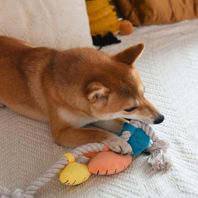 Show full view: HugSmart Pet Pirate Pups Shell Necklace Dog Toy slide 10 of 10