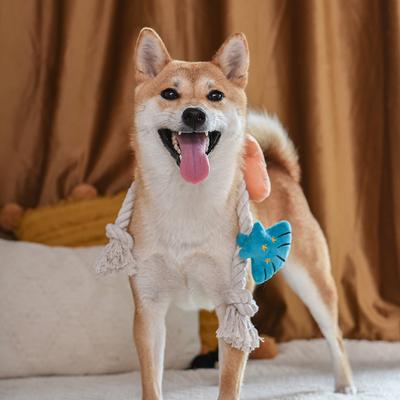 Show full view: HugSmart Pet Pirate Pups Shell Necklace Dog Toy slide 8 of 10