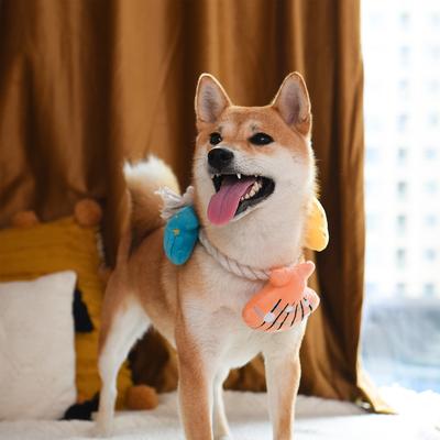 Show full view: HugSmart Pet Pirate Pups Shell Necklace Dog Toy slide 6 of 10