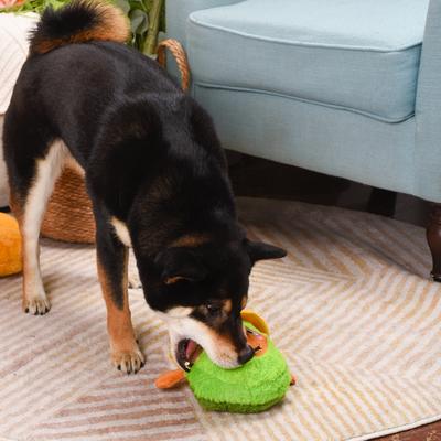 Show full view: HugSmart Pet Picnic Time Picnic Avocado Dog Toy slide 7 of 9