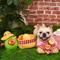 Show in main carousel: HugSmart Pet Picnic Time Charcuterie Board Dog Toy slide 7 of 9