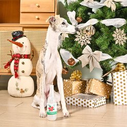 HugSmart Christmas Happy Woofmas Peppermint Schnappers Dog Toy slide 2 of 2