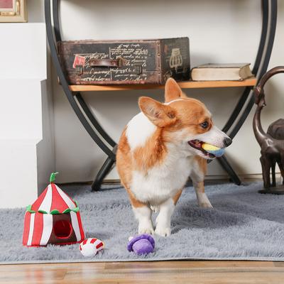 Show full view: HugSmart Pet Happy Circus Circus Dog Toy slide 5 of 5